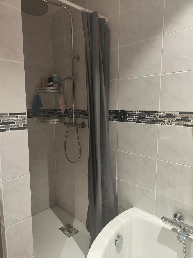 Tres Grand Appartement De 76M2 A Straßburg Exterior foto