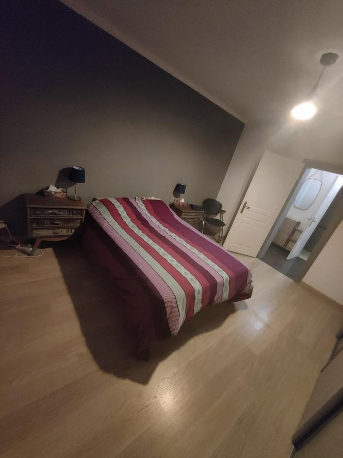 Tres Grand Appartement De 76M2 A Straßburg Exterior foto