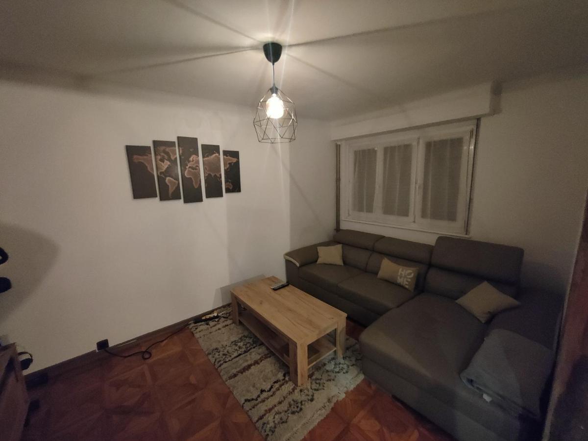 Tres Grand Appartement De 76M2 A Straßburg Exterior foto