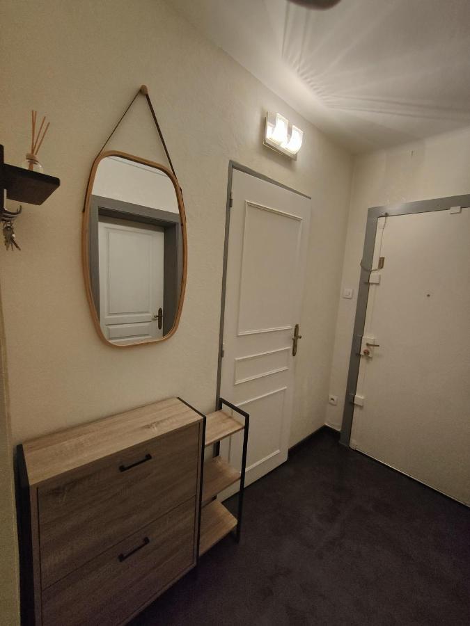 Tres Grand Appartement De 76M2 A Straßburg Exterior foto